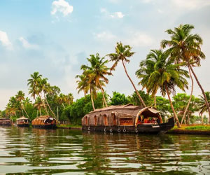 Alleppey 