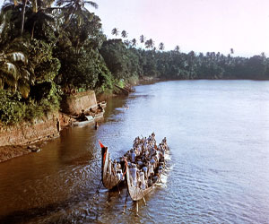 Kottayam 
